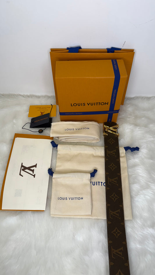 LV Dimension Belt