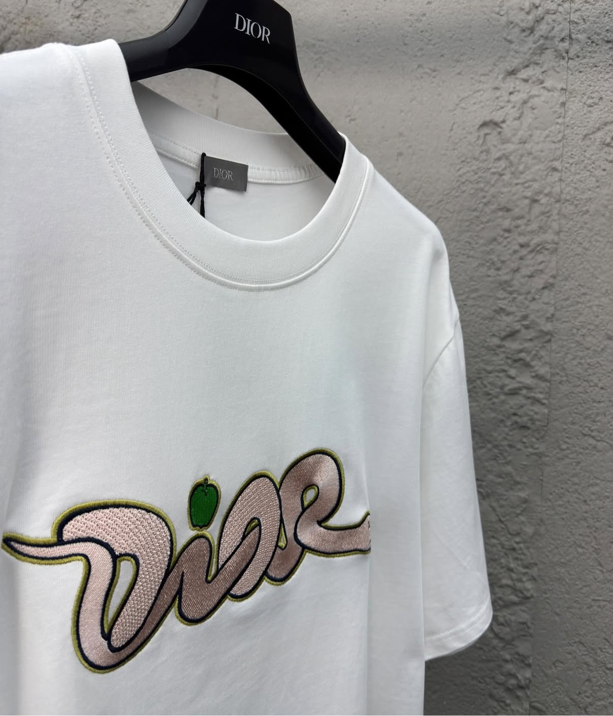 DIOR AND KAWS T-Shirt